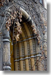 arches, budapest, buildings, dead, europe, exteriors, hungary, ivy, jewish, leaves, religious, synagogue, vertical, photograph