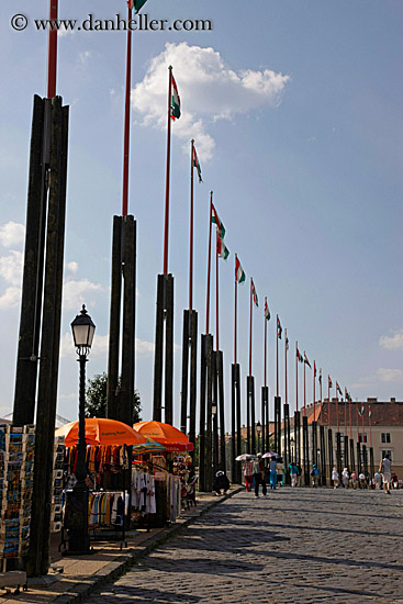 flags-n-poles-by-street.jpg