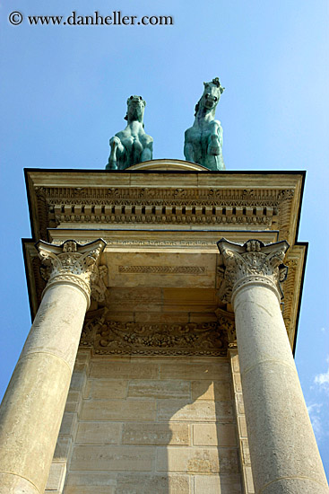 looking-up-at-horses.jpg