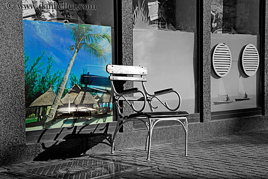 chair-n-palm_tree-photo-2.jpg