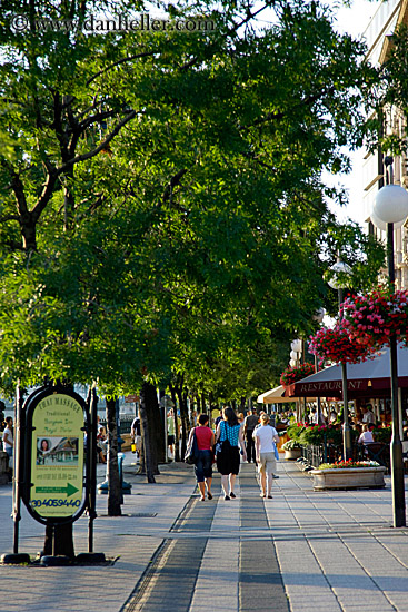 tree-lined-promenade.jpg