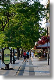 budapest, europe, hungary, lined, promenade, trees, vertical, photograph