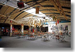 bones, budapest, cafes, europe, horizontal, hungary, whale, photograph