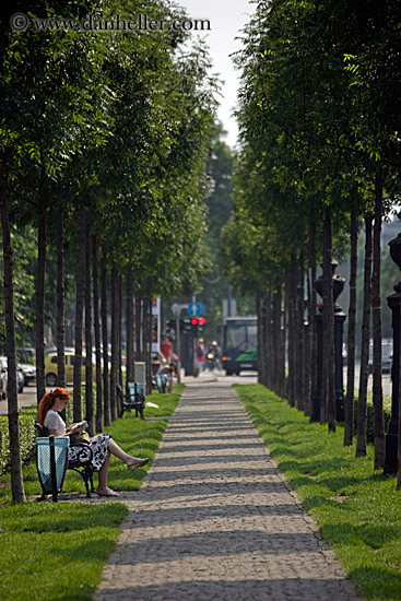 woman-on-bench-w-trees.jpg