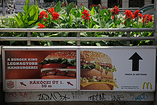 mcdonalds-n-burger-king-signs-w-flowers.jpg