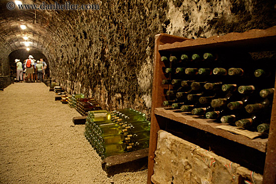 moldy-wine-bottles-1.jpg