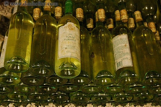 moldy-wine-bottles-2.jpg