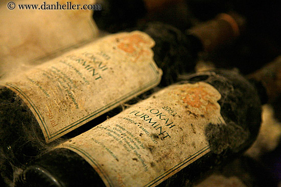 moldy-wine-bottles-3.jpg
