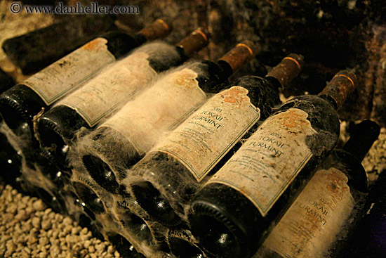 moldy-wine-bottles-4.jpg