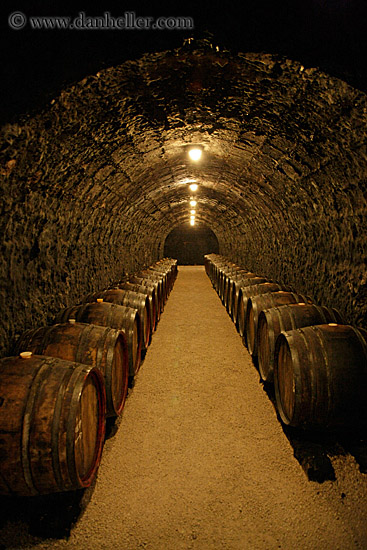 wine-barrels-in-cellar-1.jpg