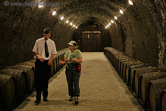 wine-barrels-in-cellar-5.jpg
