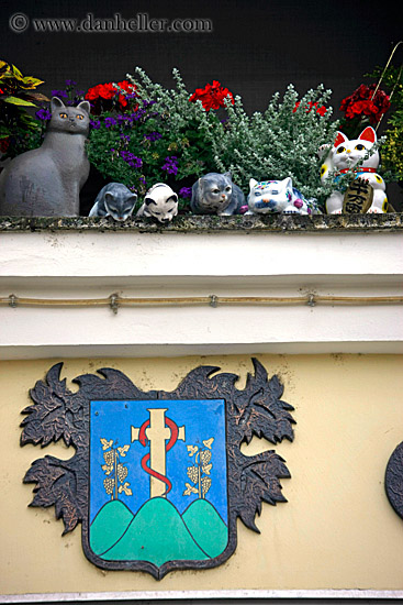 porceline-cats-n-coat-of-arms.jpg