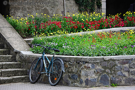 bike-n-flowers-n-stone-wall.jpg