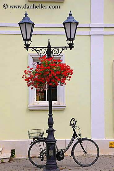 bike-parked-under-lamp-post-w-flowers-1.jpg