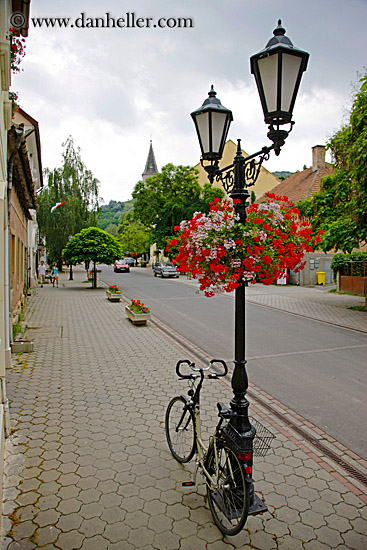 bike-parked-under-lamp-post-w-flowers-2.jpg