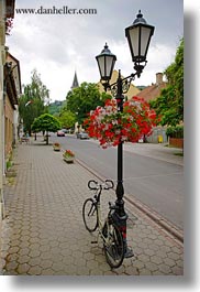 images/Europe/Hungary/Tarcal/Bikes/bike-parked-under-lamp-post-w-flowers-2.jpg