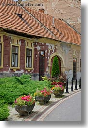 buildings, europe, flowers, hungary, tarcal, vertical, photograph