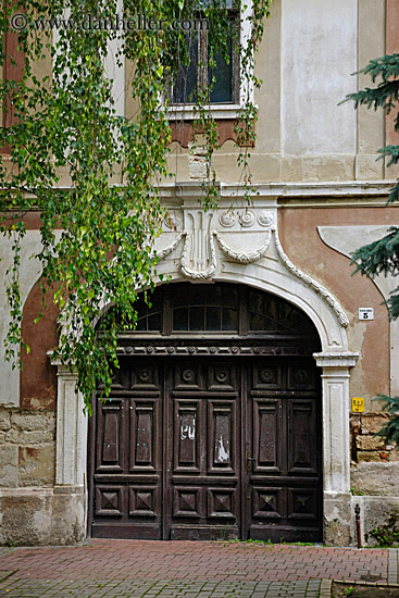 ornate-door-n-leaves.jpg
