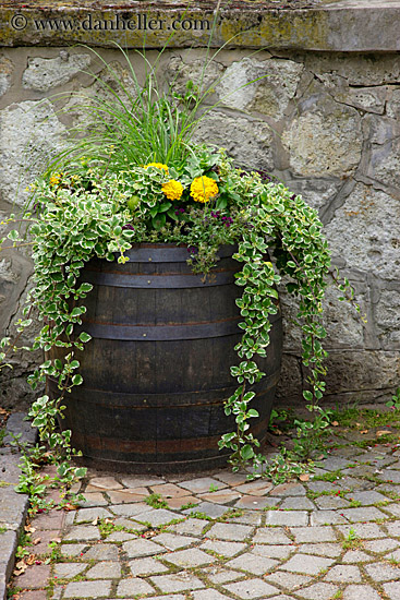 flowers-in-barrel-1.jpg