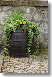 barrels, europe, flowers, hungary, tarcal, vertical, photograph