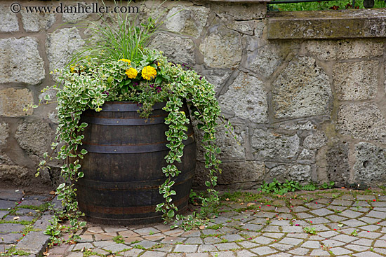 flowers-in-barrel-2.jpg