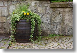 barrels, europe, flowers, horizontal, hungary, tarcal, photograph