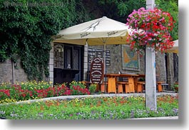 cafes, europe, flowers, horizontal, hungary, tarcal, photograph