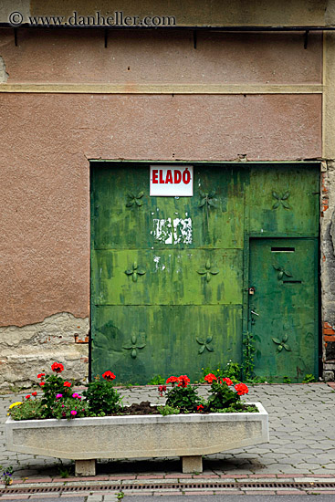 flowers-n-green-door.jpg