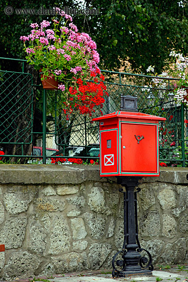 flowers-n-mailbox.jpg