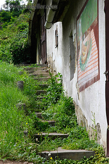grass-on-steps.jpg