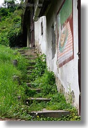 europe, flowers, grass, hungary, stairs, tarcal, vertical, photograph