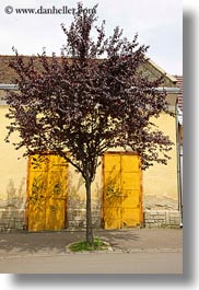 doors, europe, flowers, hungary, purple, tarcal, trees, vertical, yellow, photograph