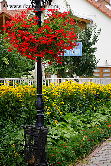 red-flowers-on-lamp_post.jpg
