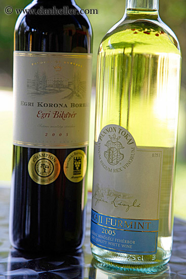 tokaj-red-n-white-wine-bottles-1.jpg