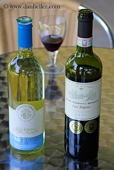 tokaj-red-n-white-wine-bottles-3.jpg