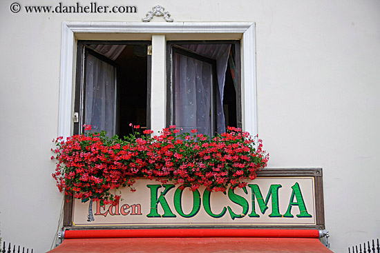 kocsma-sign-w-flowers.jpg