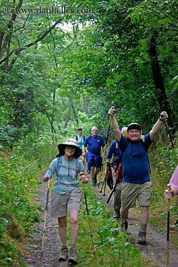 hiking-thru-trees-1.jpg