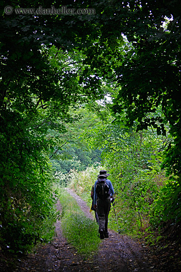 hiking-thru-trees-2.jpg