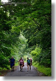 europe, hikers, hiking, hungary, nature, people, plants, tokaj hills, tree tunnel, trees, vertical, photograph