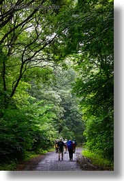 europe, hikers, hiking, hungary, nature, people, plants, tokaj hills, tree tunnel, trees, vertical, photograph