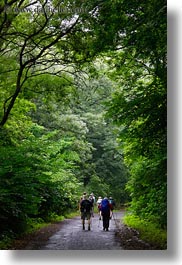 images/Europe/Hungary/TokajHills/Hikers/hiking-thru-trees-5.jpg