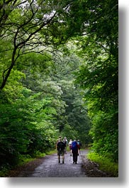 europe, hikers, hiking, hungary, nature, people, plants, tokaj hills, tree tunnel, trees, vertical, photograph