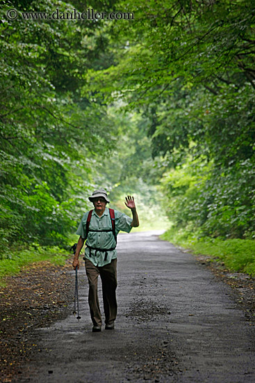 hiking-thru-trees-6.jpg