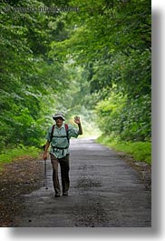 clothes, europe, hats, hikers, hiking, hungary, nature, people, plants, tokaj hills, tree tunnel, trees, vertical, photograph