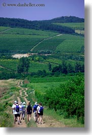 images/Europe/Hungary/TokajHills/Hikers/hiking-thru-vinyards-1.jpg