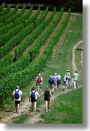 clothes, europe, hats, hikers, hiking, hungary, people, tokaj hills, vertical, vinyards, photograph