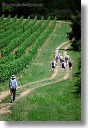 clothes, europe, hats, hikers, hiking, hungary, people, tokaj hills, vertical, vinyards, photograph