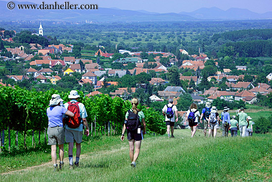 hiking-w-town-overlook-1.jpg