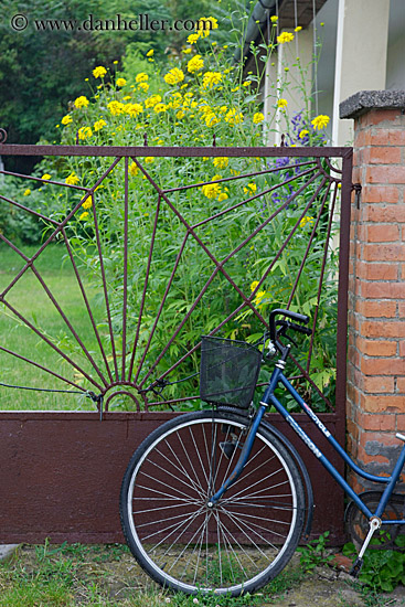 blue-bike-n-gate.jpg