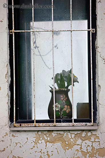 flowers-in-window.jpg